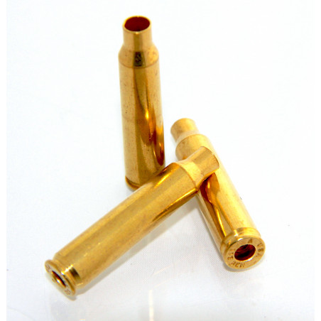 Douilles Armscor Calibre .223 / 100pcs