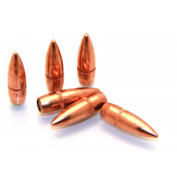 Armscor Bullets Cal.223 55 Gr