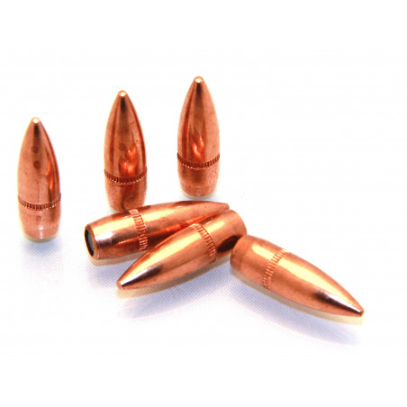 Armscor Bullets Cal.223 55 Gr / 1000pcs