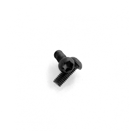 Grip Torx Screws