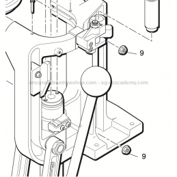 1/4-20 Flange Nut