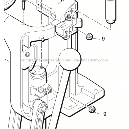 1/4-20 Flange Nut